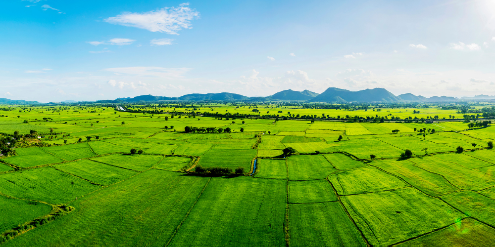 Kamulaştırma Nedir?