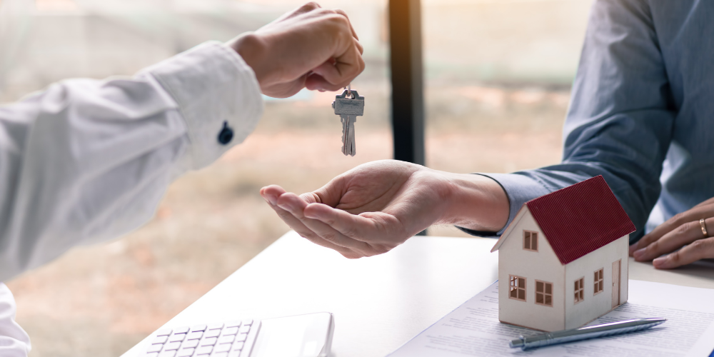 Taşınmaz Maliki Nedir?