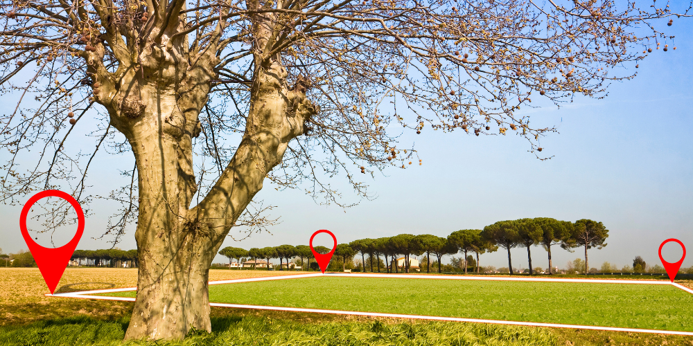 Kadastro Parseli Nedir​?